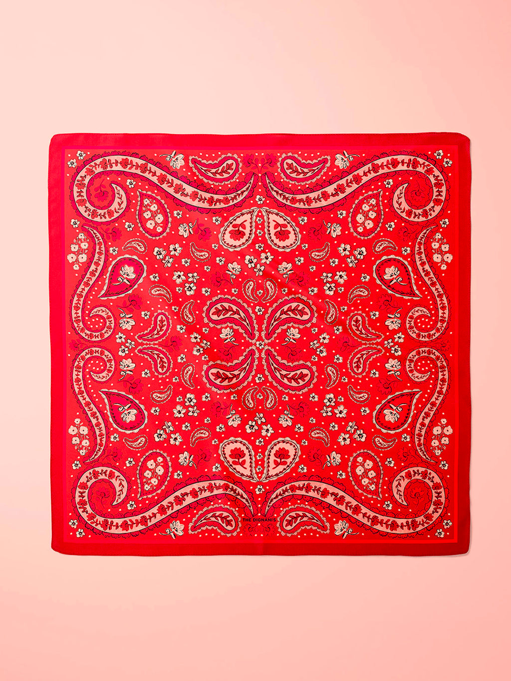 Foulard Paisley