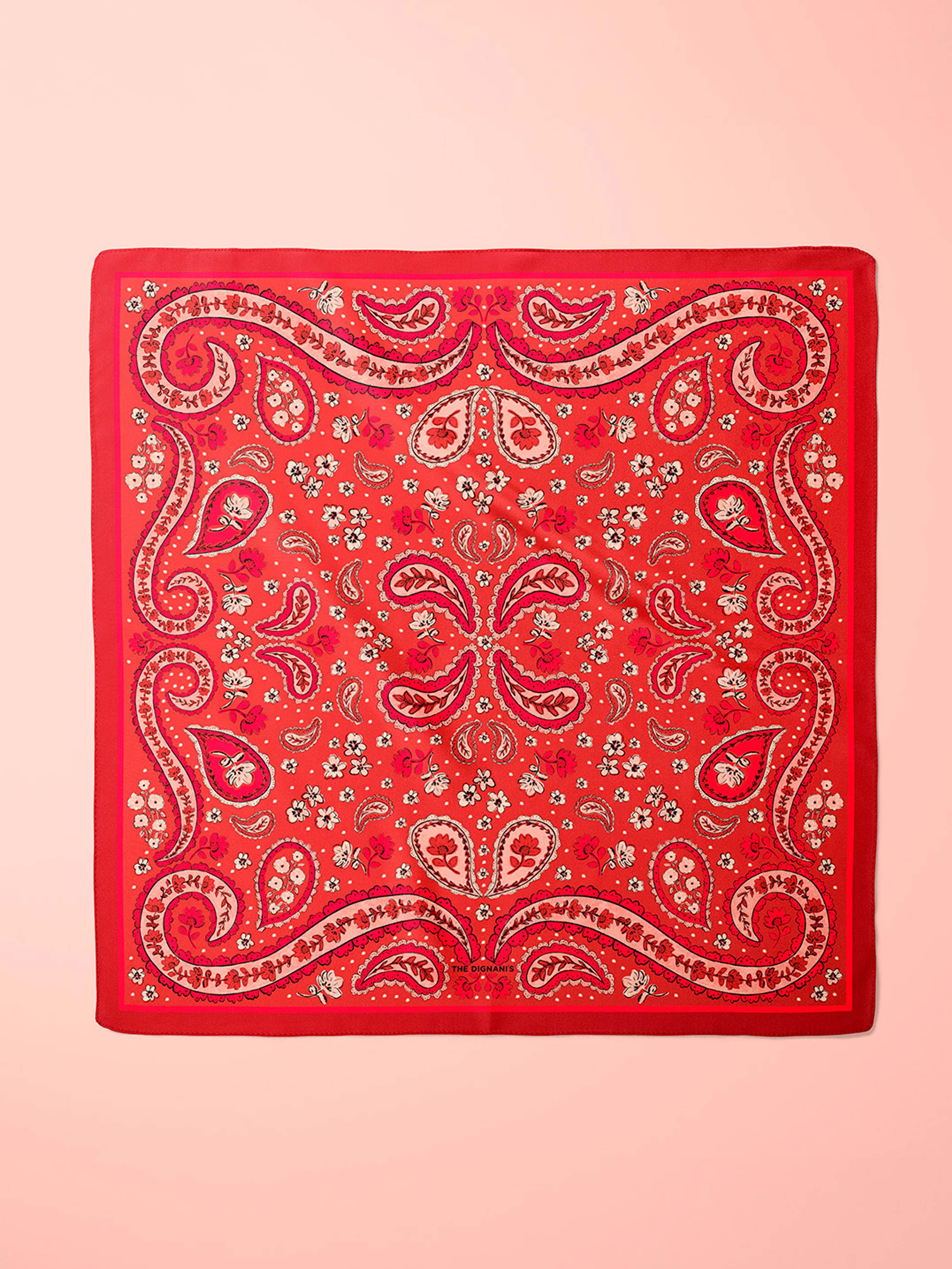 Foulard Paisley